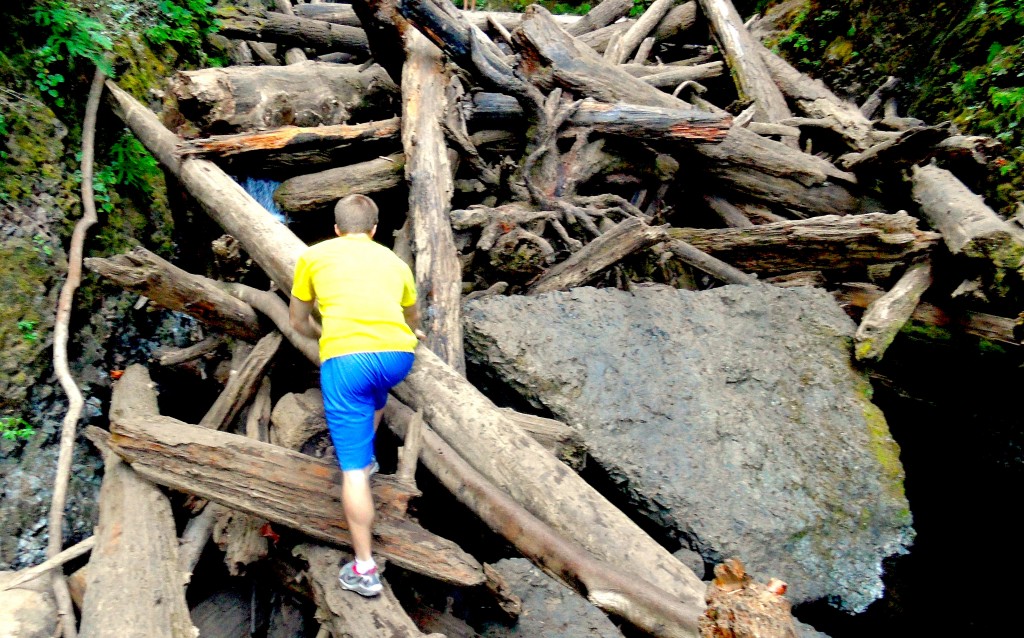 When you're kid says he'd like to hike with you, bring your best when it starts by climbing over a log jam on the Oneonta Gorge.