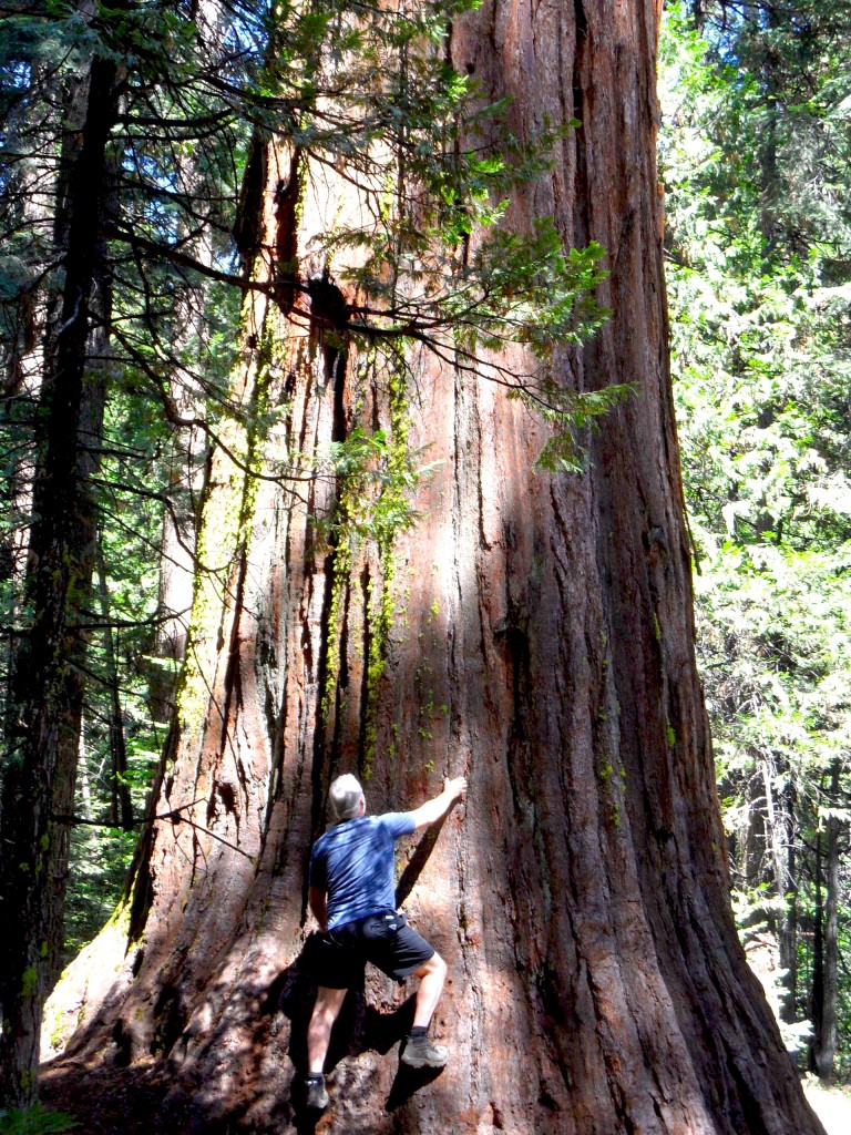 Giving Big Ed a big hug. Who's a tree hugger? Yosemite climber.