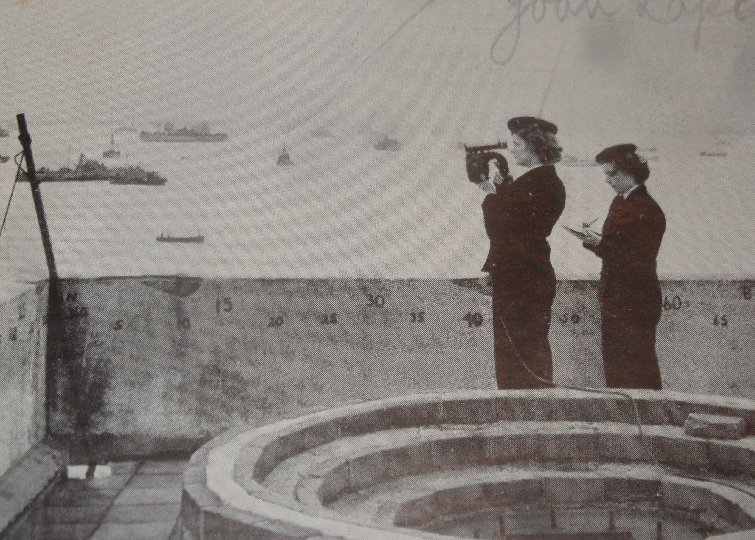 mother in law as British Wren