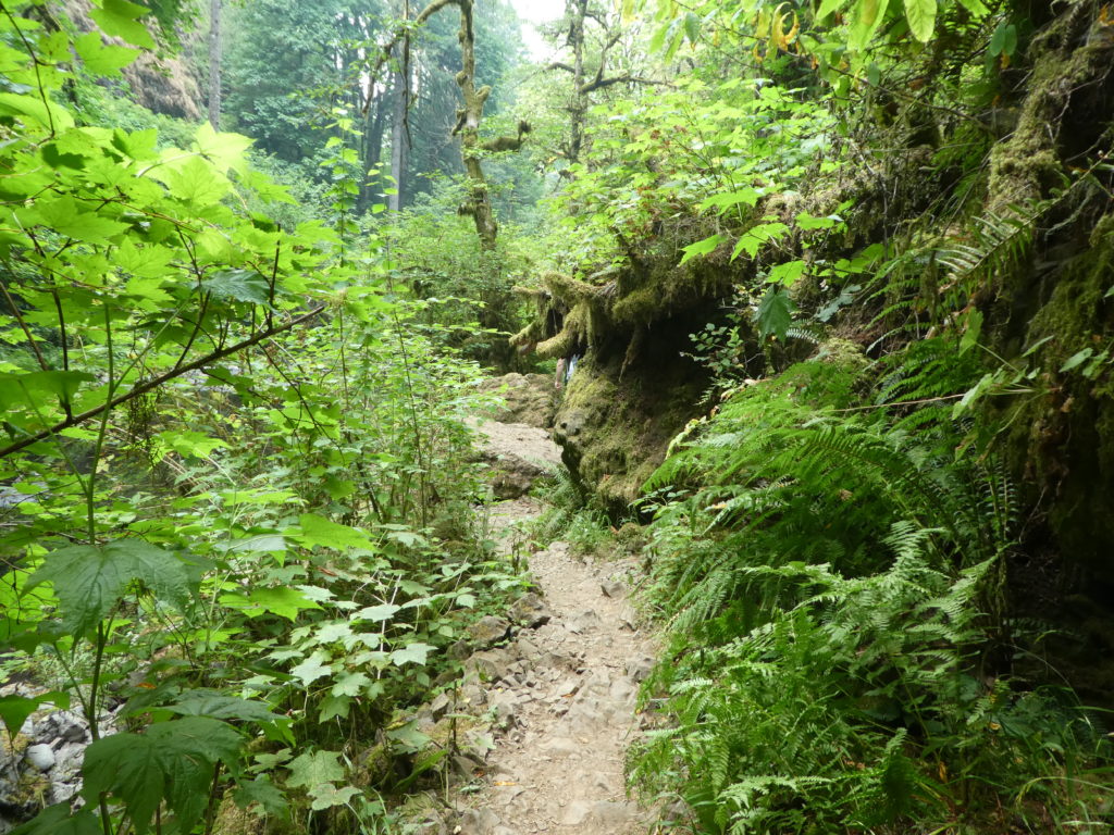 ABIQUA FALLS DREAMSCAPE