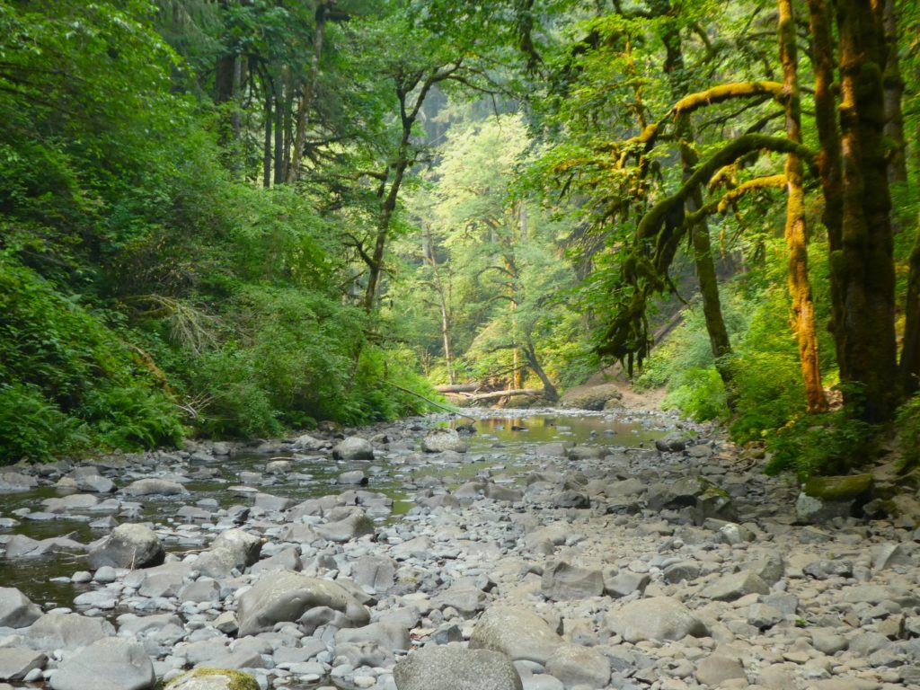 ABIQUA FALLS DREAMSCAPE