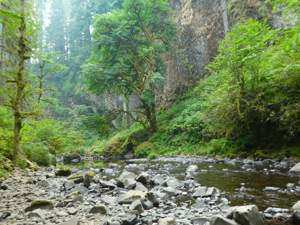 abiqua falls dreamscape